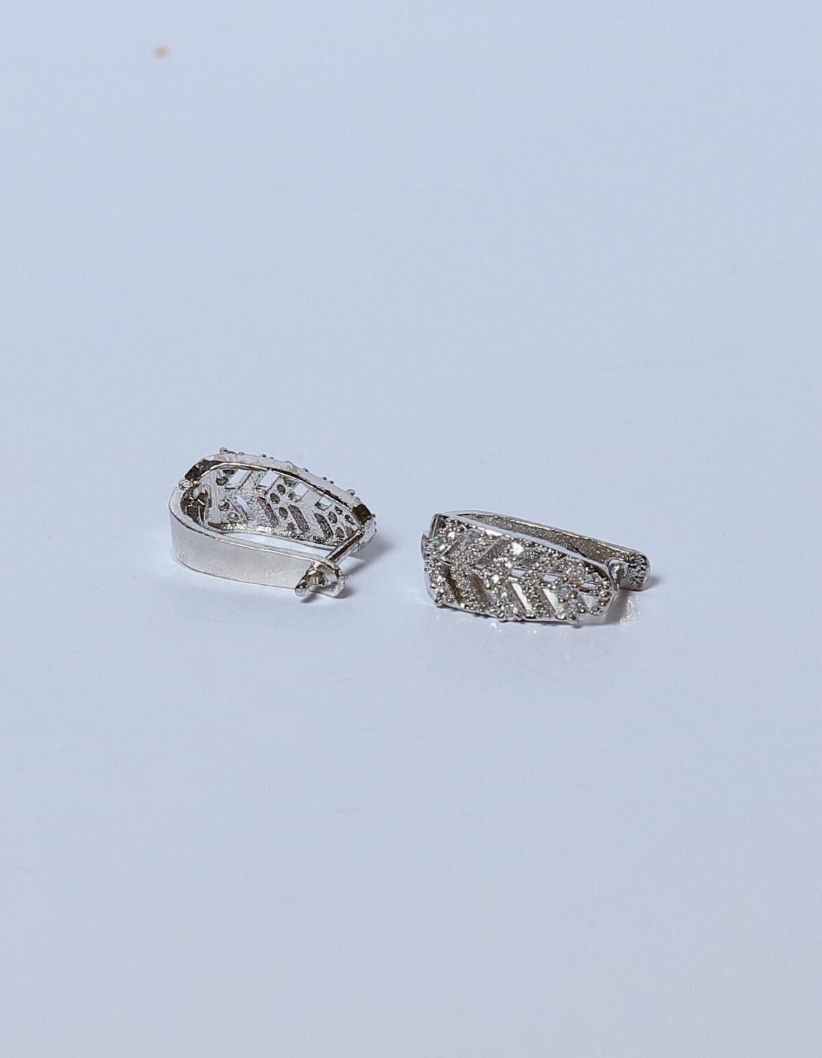 ring type earrings