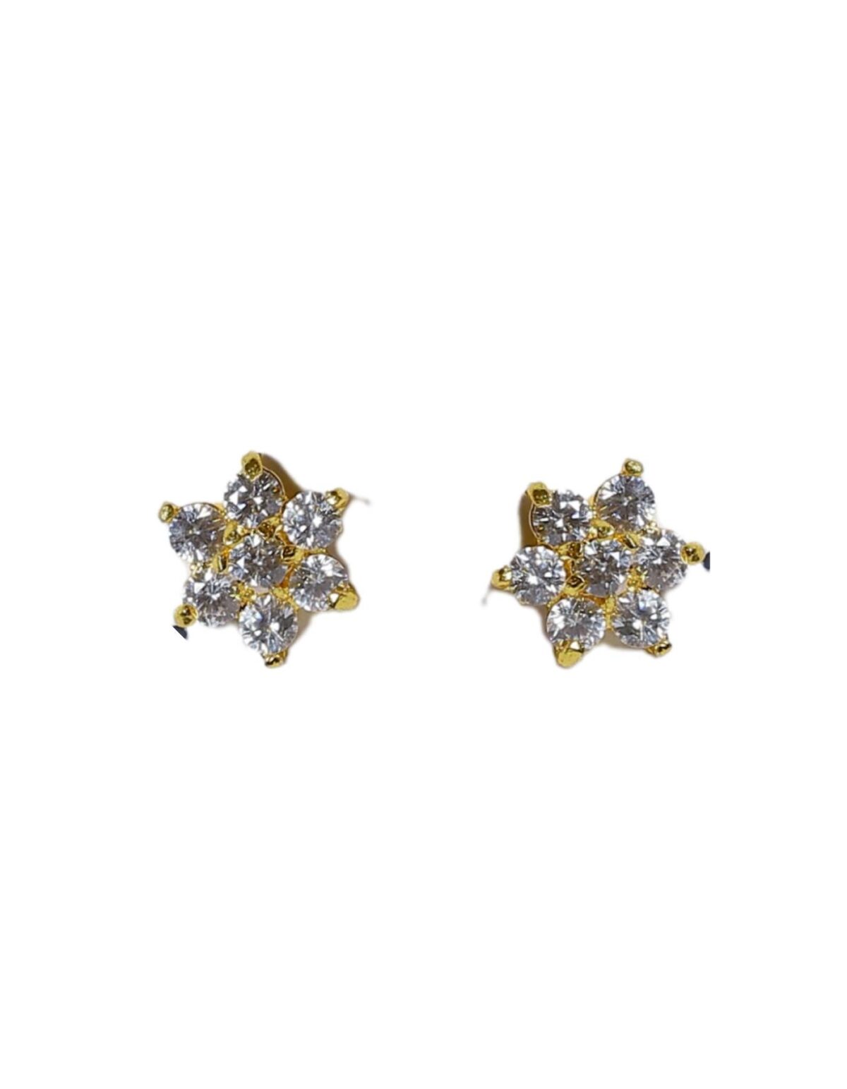 stud type earrings