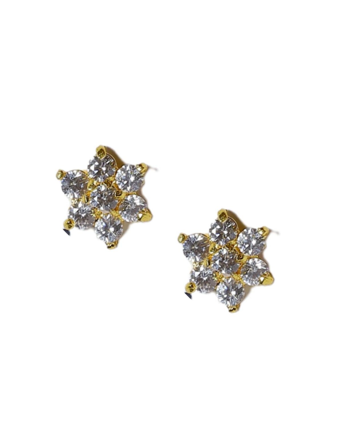 stud type earrings