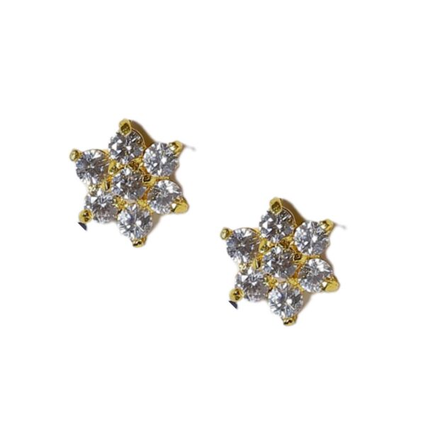 stud type earrings